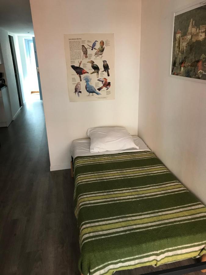 Espace Grenouillit Le Puy En Velay Екстериор снимка